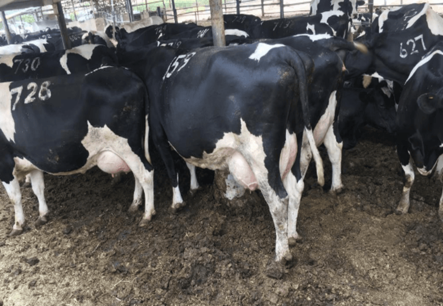 Screenshot from 2025-12-15 14-03-49