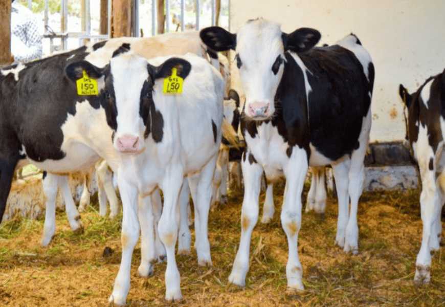 Screenshot from 2025-12-15 14-08-39 (1)