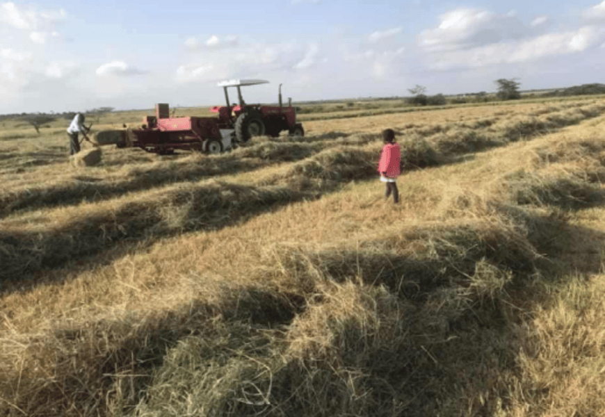 Screenshot from 2025-12-15 14-14-00