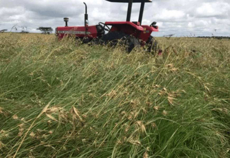 Screenshot from 2025-12-15 14-26-33